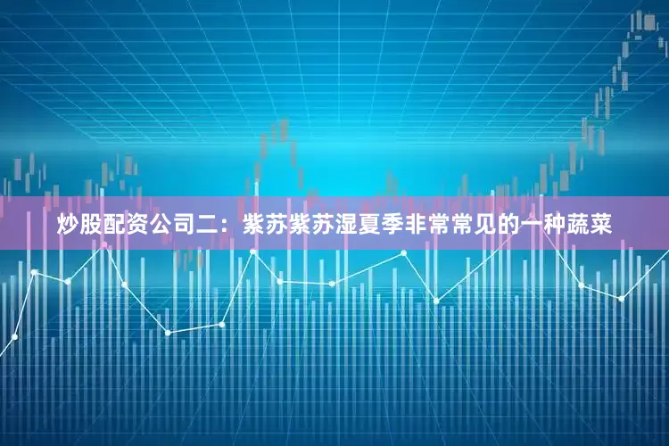 炒股配资公司二：紫苏紫苏湿夏季非常常见的一种蔬菜
