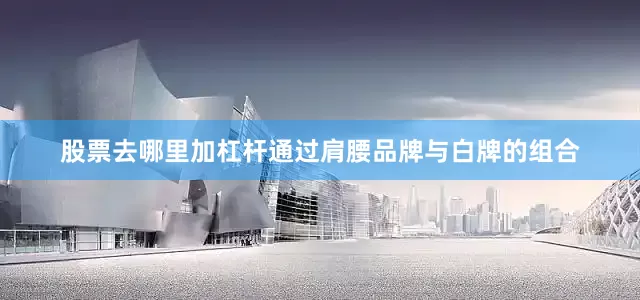 股票去哪里加杠杆通过肩腰品牌与白牌的组合