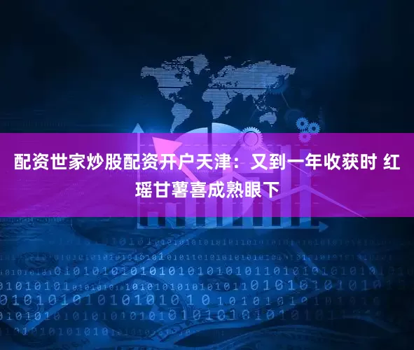 配资世家炒股配资开户天津：又到一年收获时 红瑶甘薯喜成熟眼下
