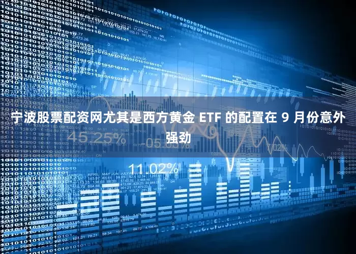 宁波股票配资网尤其是西方黄金 ETF 的配置在 9 月份意外强劲